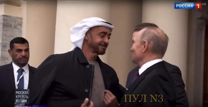 Vladimir Putin l-a primit pe liderul Emiratelor Arabe Unite la Sankt Petersburg, Foto: Captura video