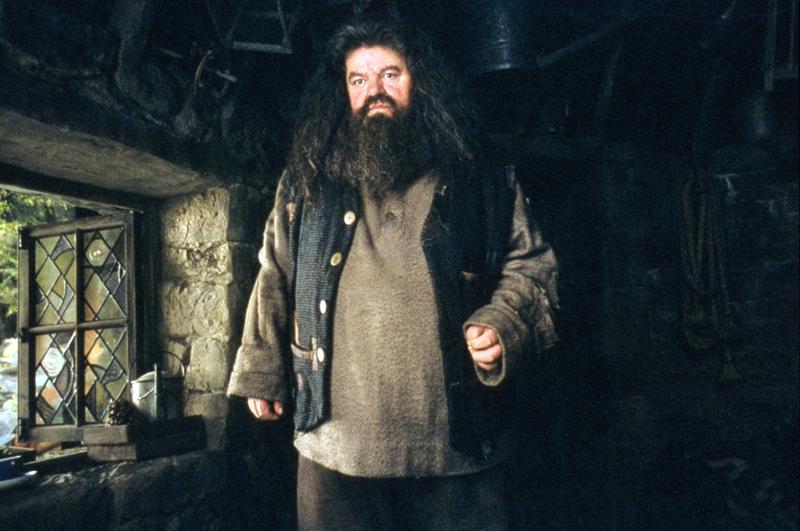 Robbie Coltrane a murit la 72 de ani, Foto: Warner Bros / 1492 Pictures / AFP / Profimedia
