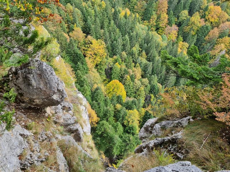 Peisaj de octombrie, Foto: Vlad Barza / HotNews.ro