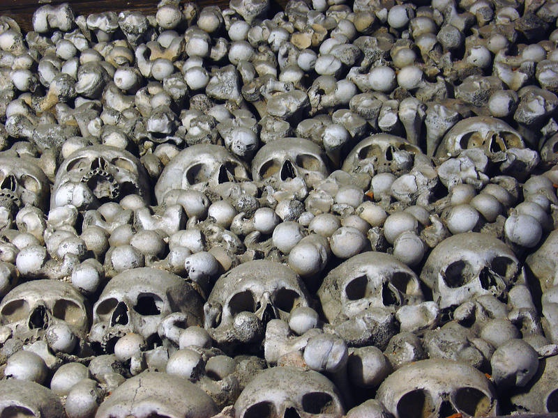 ciuma bubonica, Foto: Andreas Baeuchle | Dreamstime.com