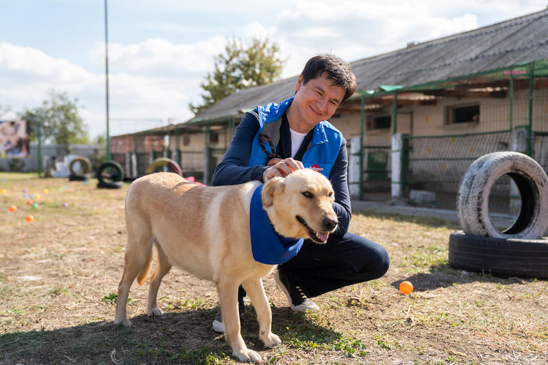 Cum au celebrat angajații Mars Ziua Mondială a Animalelor, Foto: Whiskas