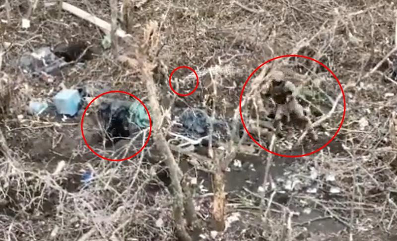 Lupta la mica distanta intre ucraineni si rusii dintr-un transeu, Foto: Captura video