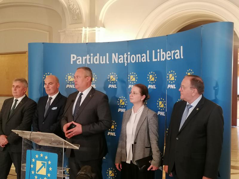 Ligia Deca, votata de PNL să fie ministru al Educației, Foto: Hotnews