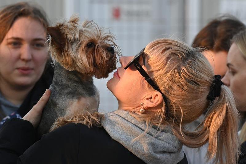 Refugiati din Ucraina, Foto: Daniel MIHAILESCU / AFP / Profimedia