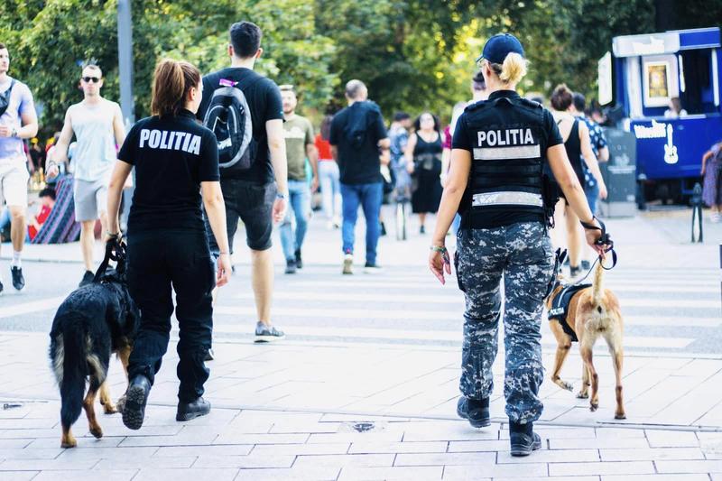 Politia, Foto: Facebook Politia Romana