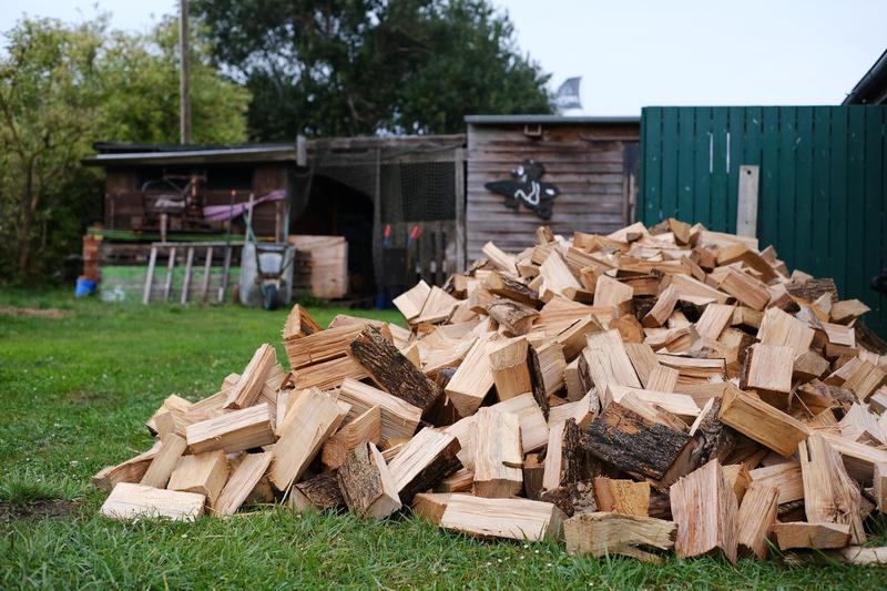 Lemne de foc, Foto: snapshot-photography/K M Krause / Shutterstock Editorial / Profimedia