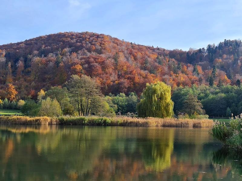 Peisaj de noiembrie, Foto: Vlad Barza / HotNews.ro