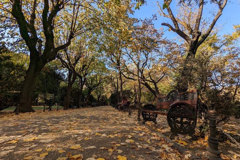 Toamna în parc, Foto: HotNews.ro / Victor Cozmei