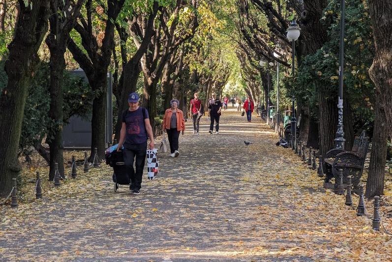 Toamna în București, Foto: HotNews.ro / Victor Cozmei