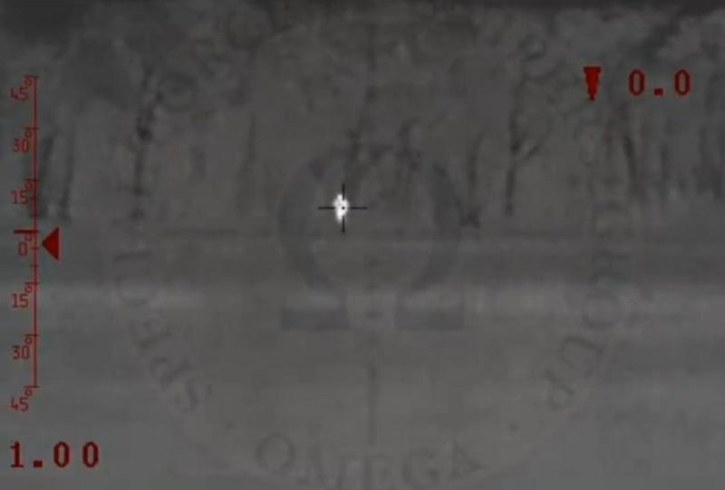 Imagine prin pusca unui lunetist, Foto: Captura video