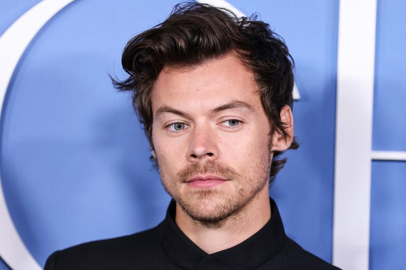Harry Styles, Foto: Image Press Agency/NurPhoto / Shutterstock Editorial / Profimedia