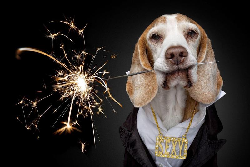 Ce vacanțe caută românii pentru revelion și 2023, Foto: Alamy / Profimedia