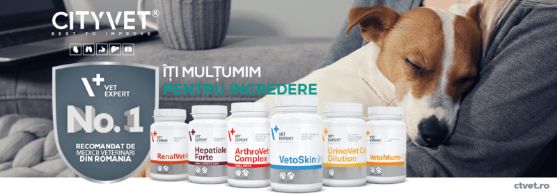 Vet Expert, brandul nr 1 in recomandarea medicilor veterinari, Foto: Vet Expert