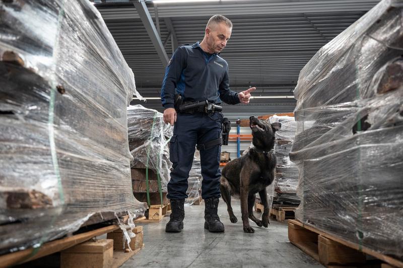 Control de droguri în portul Rotterdam, Foto: Simon Wohlfahrt/ AFP/ Profimedia