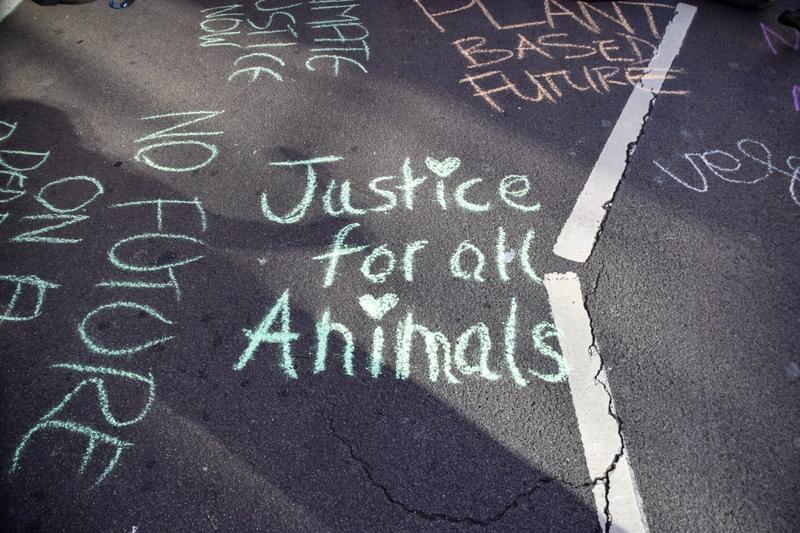 Protest al mișcării Animal Rebellion la Londra, Foto: Vuk Valcic/SOPA Images / Shutterstock Editorial / Profimedia