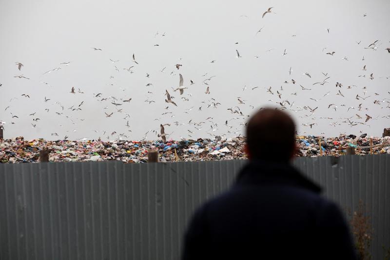 Groapa de gunoi, Foto: Aleksey Filippov / AFP / Profimedia