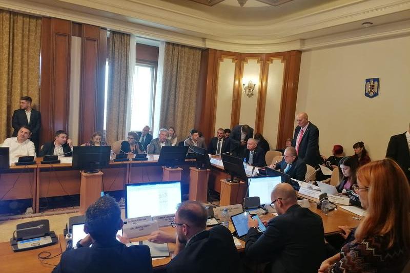 Dezbaterile din comisiile de specialitate pe ordonanța privind energia , Foto: Hotnews
