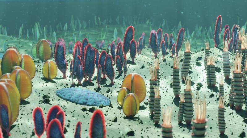 ediacaran, Foto: MARK GARLICK / Sciencephoto / Profimedia