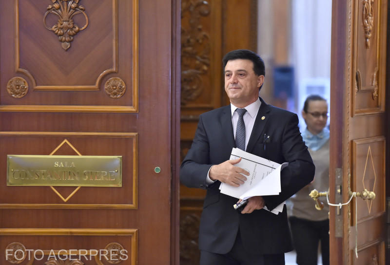 Niculae Badalau, Foto: Agerpres