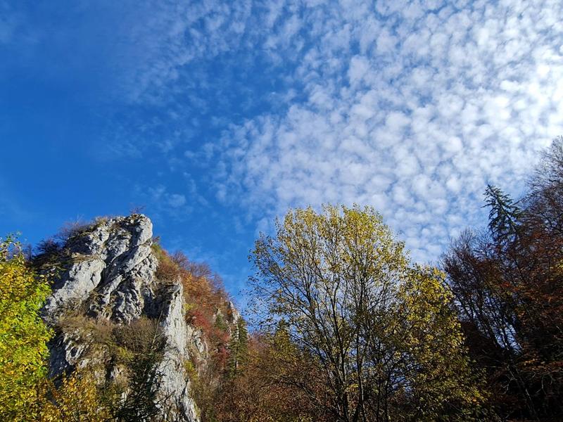 Peisaj de toamna, Foto: Vlad Barza / HotNews.ro