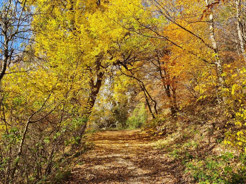Peisaj de toamna, Foto: Vlad Barza / HotNews.ro