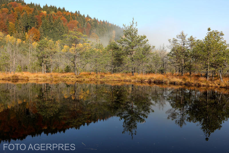 Arie protejată, imagine generică, Foto: AGERPRES