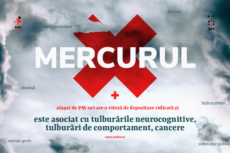 AerCurat pentru București, Foto: Ecopolis