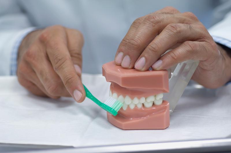 Nici dentistii nu se pun de acord in privinta spalatului pe dinti inainte sau dupa micul dejun, Foto: DK Images / Sciencephoto / Profimedia Images