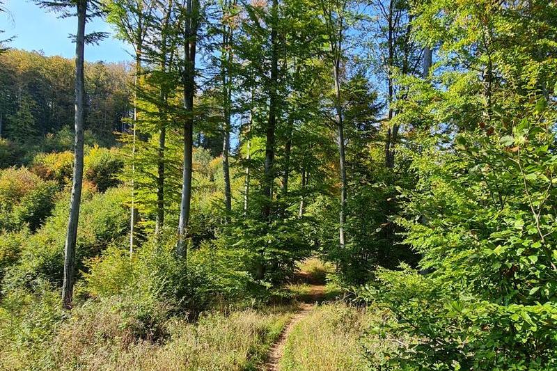 Peisaj de natura in octombrie, Foto: Vlad Barza / HotNews.ro