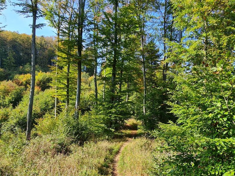 Peisaj de natura in octombrie, Foto: Vlad Barza / HotNews.ro