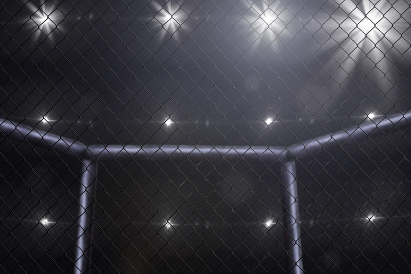 Ring MMA, Foto: DreamsTime / Iurii Pankovskyi