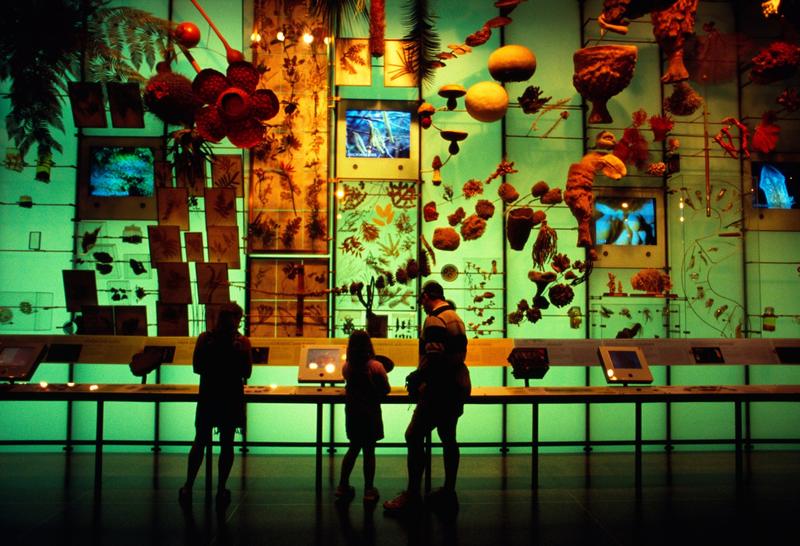 Biodiversitatea Pamantului este amenintata, Foto: Beth Dixon / Alamy / Profimedia Images