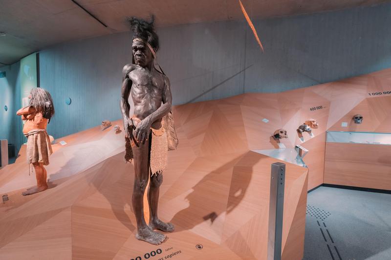 homo sapiens, Foto: frantic / Alamy / Alamy / Profimedia