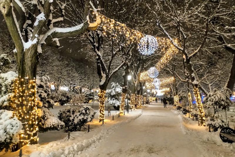 Luminițe de Crăciun în Cișmigiu, Foto: HotNews.ro / Victor Cozmei