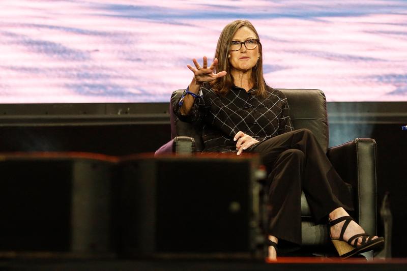 Cathie Wood, Foto: Marco Bello / Getty Images / Profimedia