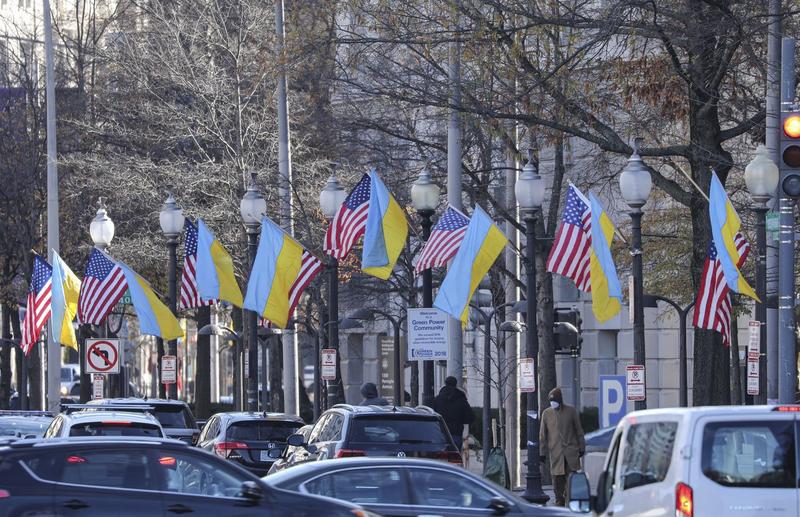 Steaguri americane și ucrainene, la Washington, Foto: AA/ABACA / Abaca Press / Profimedia