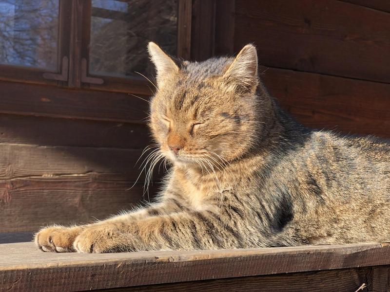 Iarnă caldă, Foto: ciaobucarest / Stockimo / Alamy / Alamy / Profimedia