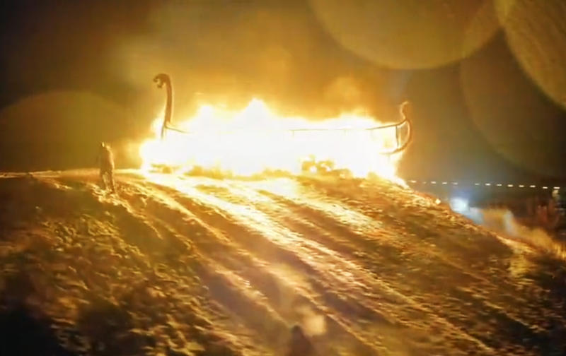 Soldatii regimentului Azov au ars o barca vikinga in memoria camarazilor pierduti, Foto: Captura video