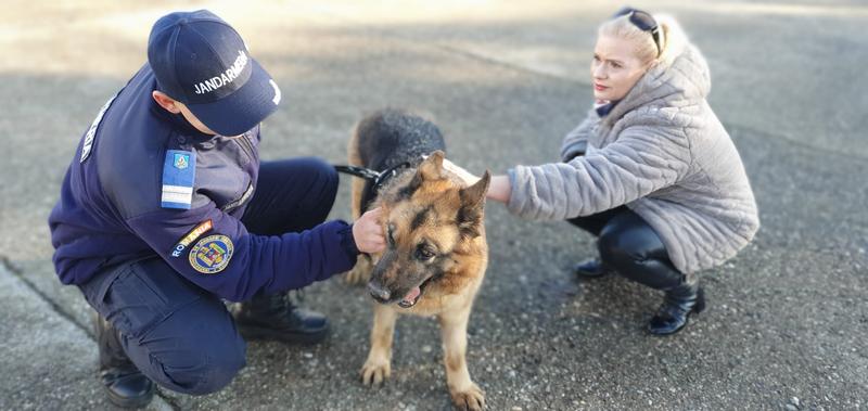 Ogepa, catelusa Jandarmerei Bacau, si-a gasit o noua casa, Foto: Facebook Jandarmeria Romana