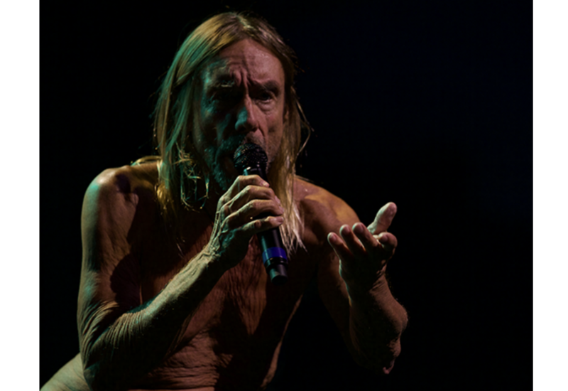 Iggy Pop, Foto: Electric Castle