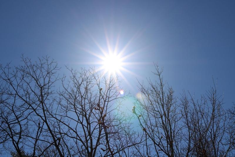 Iarnă caldă, Foto: AzureDragon / Alamy / Alamy / Profimedia