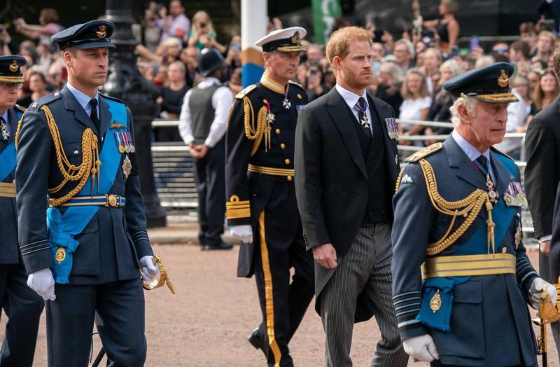 Prinții William și Harry și regele Charles al III-lea, Foto: Jeff Moore / Alamy / Alamy / Profimedia