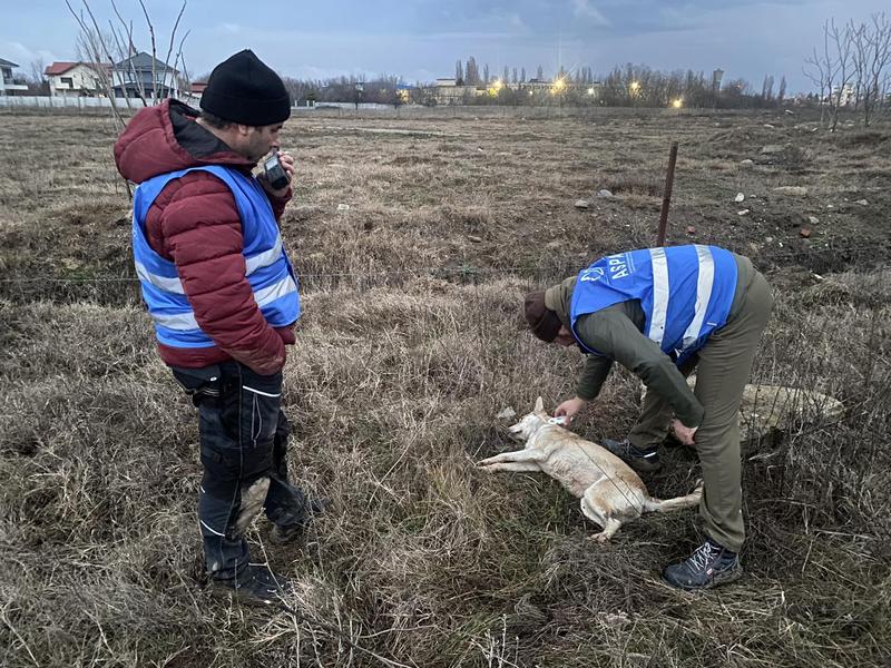 Echipaje de hingheri de la ASPA, Foto: ASPA București