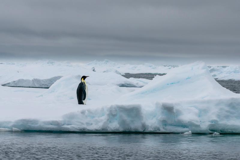 Antarctica, Foto: Sergio Pitamitz / AP / Profimedia