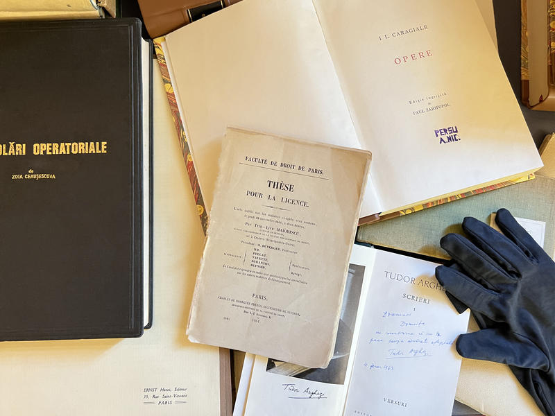 Teza de licență scrisă de Titu Maiorescu și Teza de doctorat a Zoiei Ceaușescu, scoase la licitație, Foto: artmark.ro