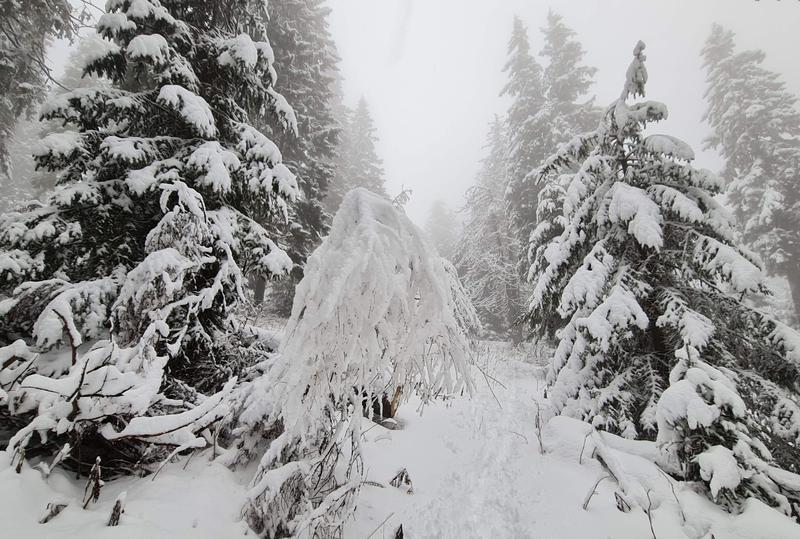 Peisaj de iarna, Foto: Vlad Barza / HotNews.ro