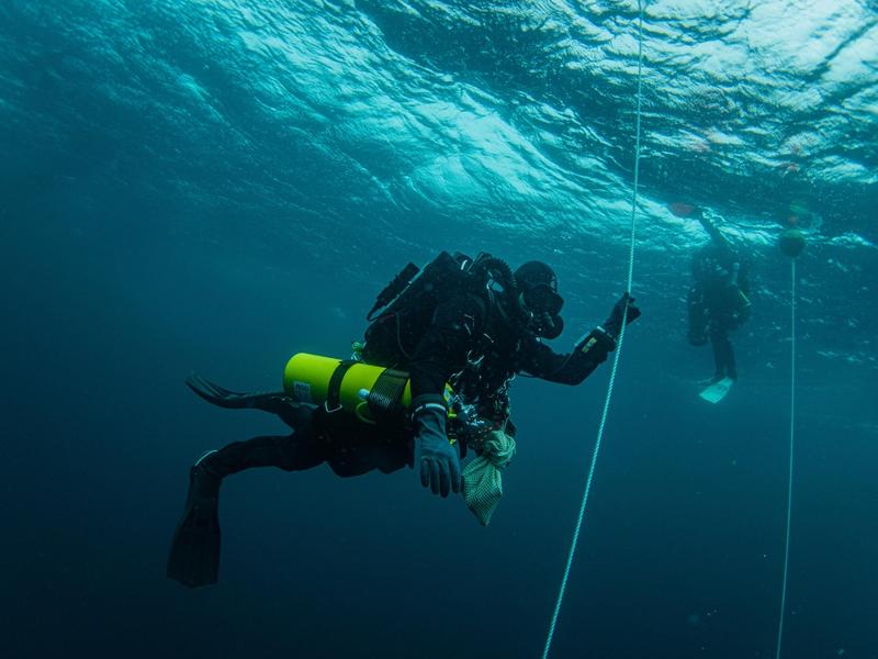 Scafandri, Foto: Jam Press/Dominic Robinson / SplashNews.com / Splash / Profimedia