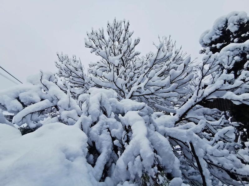 Peisaj de iarna, Foto: Adrian Ilincescu/ HotNews.ro