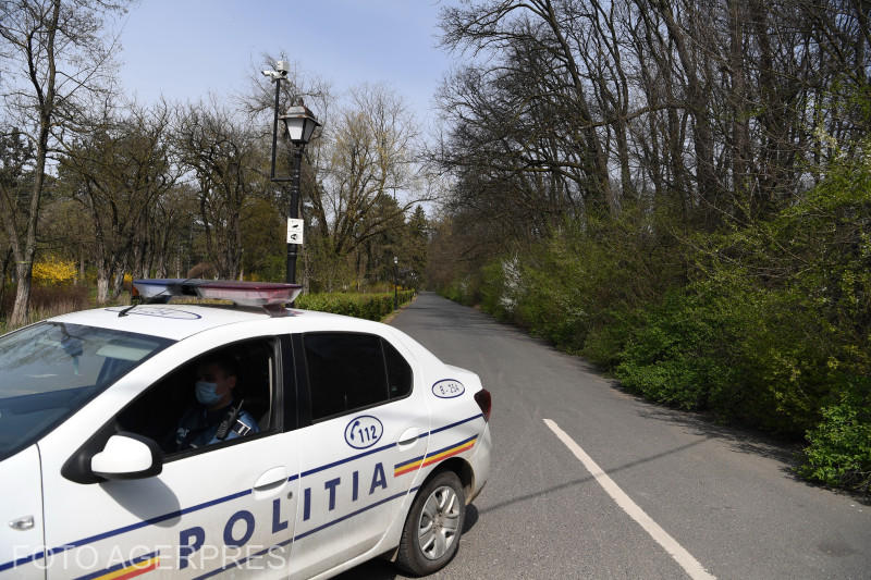 Zona Pădurii Băneasa, Foto: AGERPRES