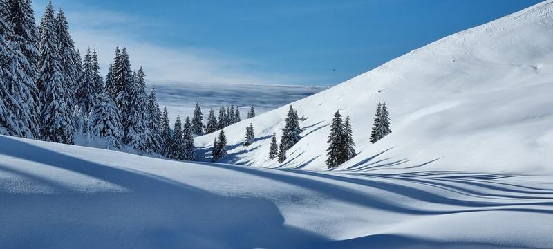 Peisaj de iarna, Foto: Laurentiu Barza